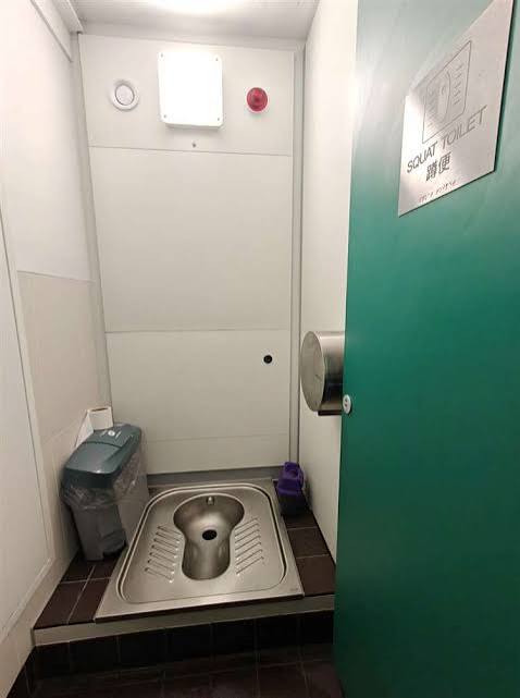Interior of a public toilet cubicle featuring a stainless steel squat toilet set into a raised, tiled platform, with a green door labeled 'Squat Toilet' in English and Chinese, a wall-mounted paper dispenser, and a small waste bin.